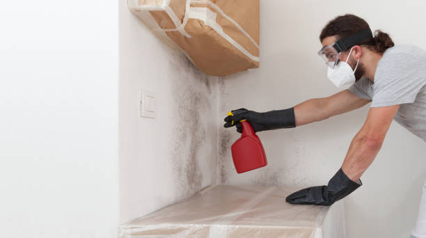 Professional Mold Inspection And Testing technician working in Riverside, NJ